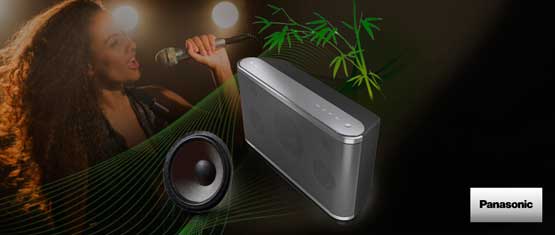 SIST WIFI ESTEREO PANASONIC SC-ALL3EG.K