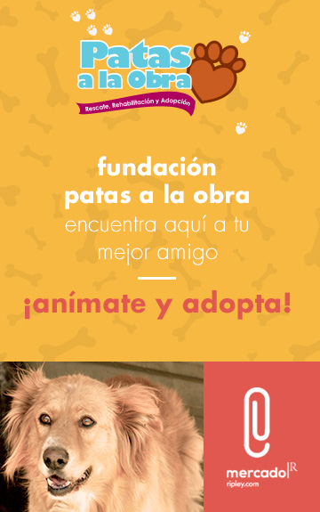 Adopta tu Mascota Ripley.com