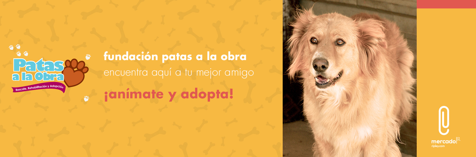 Adopta tu Mascota Ripley.com
