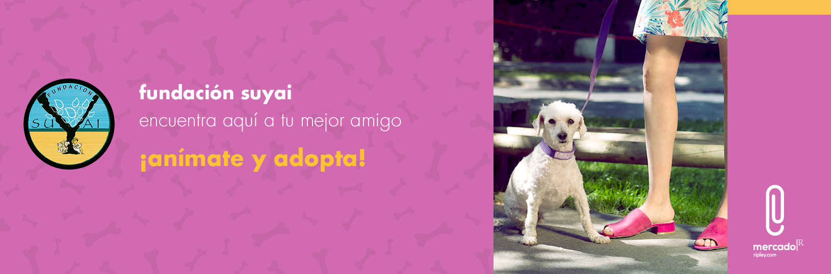 Adopta tu Mascota Ripley.com