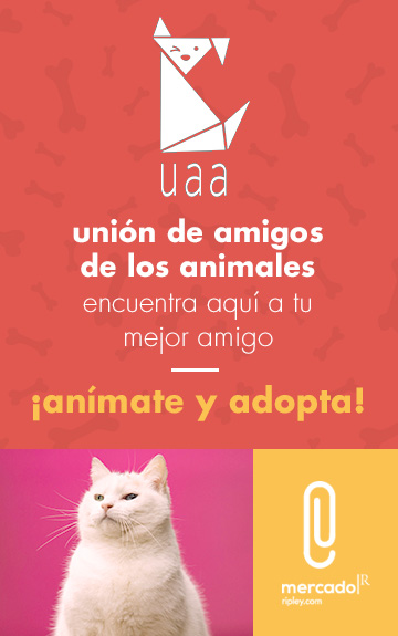 Adopta tu Mascota Ripley.com