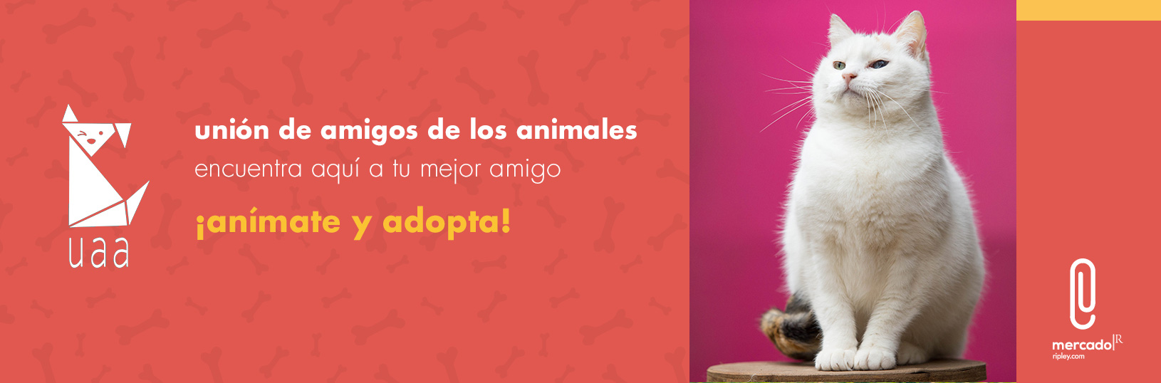 Adopta tu Mascota Ripley.com