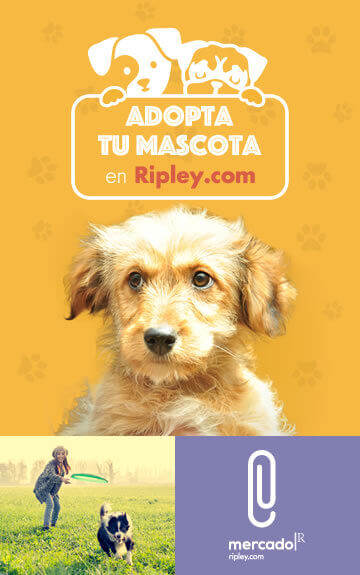 Adopta tu Mascota Ripley.com