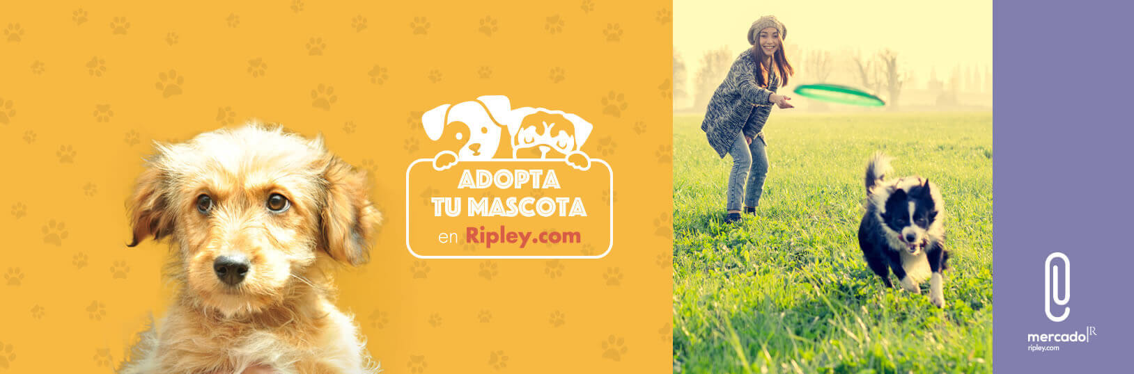 Adopta tu Mascota Ripley.com