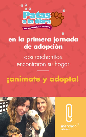 Adopta tu Mascota Ripley.com