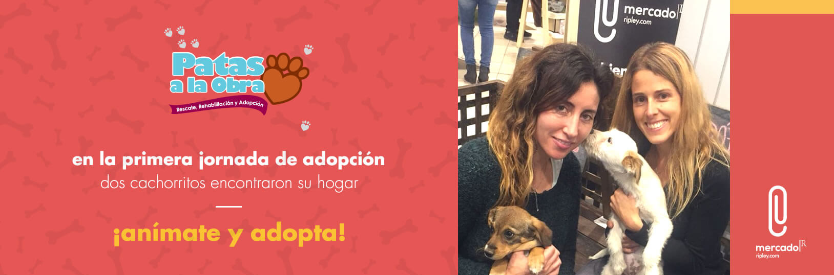 Adopta tu Mascota Ripley.com