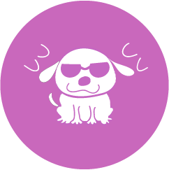 Adopta tu Mascota Ripley.com