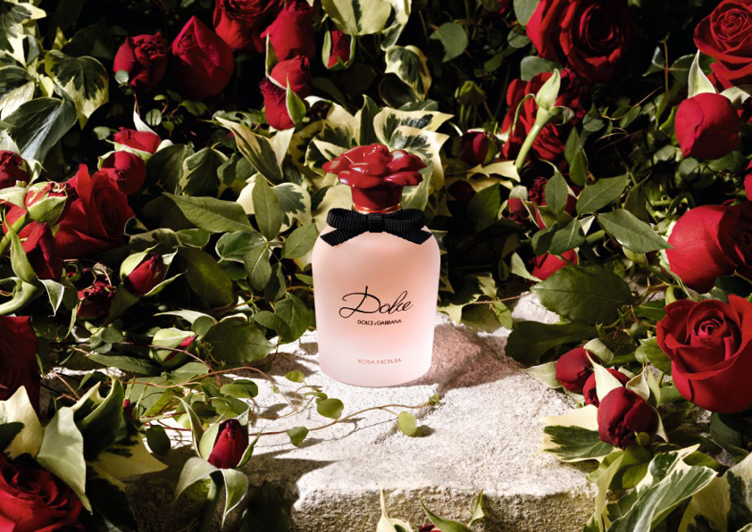 Kate King y su segunda campaña para Dolce&Gabbana
