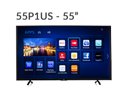 55P1US-55