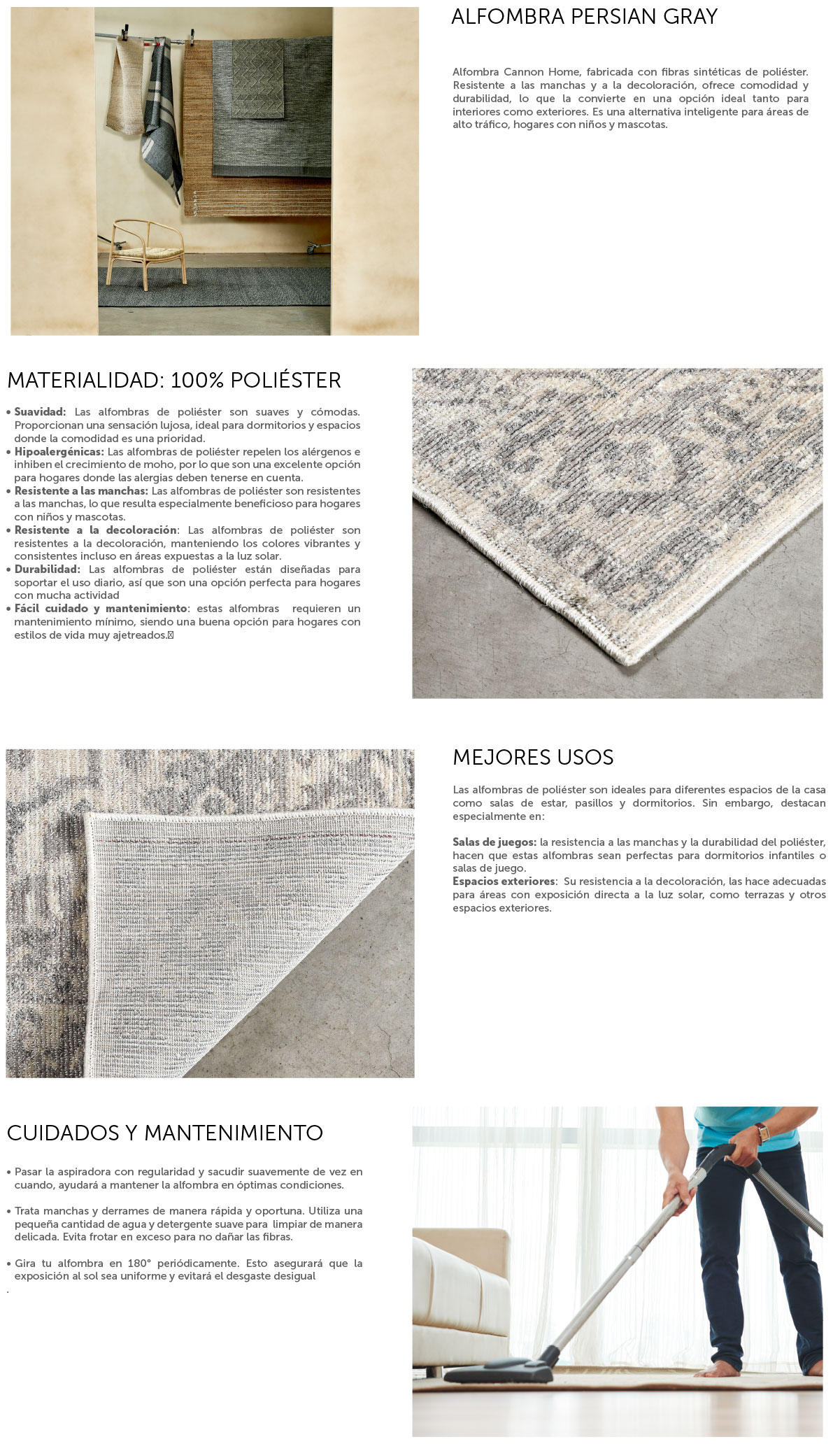 ALFOMBRA CANNON OUT-IN PERSIAN GRIS 240X330