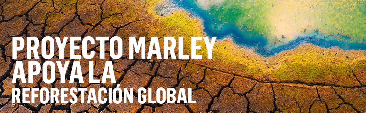 PARLANTE MARLEY BT IP67 NO BOUNDS AZUL