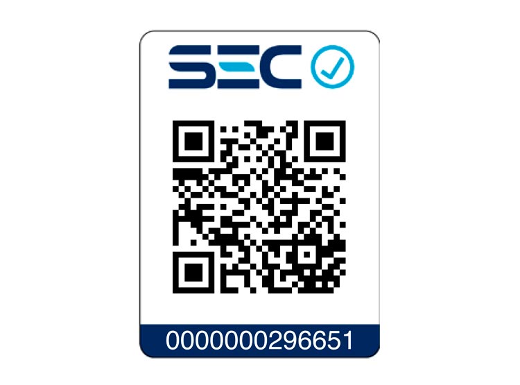 Conga battery - Cecotec Innovaciones S.L.