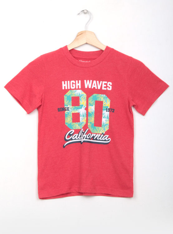 POLERA HARVEST MANGA CORTA PRINT