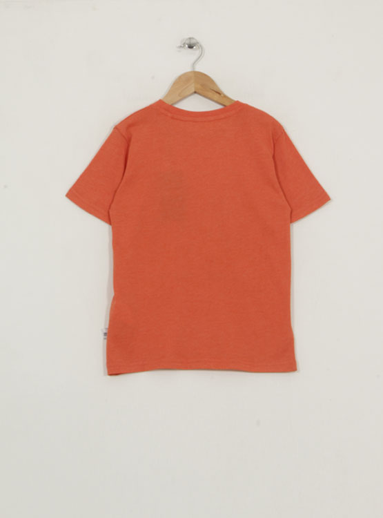 POLERA MANGA CORTA PRINT HARVEST - 2