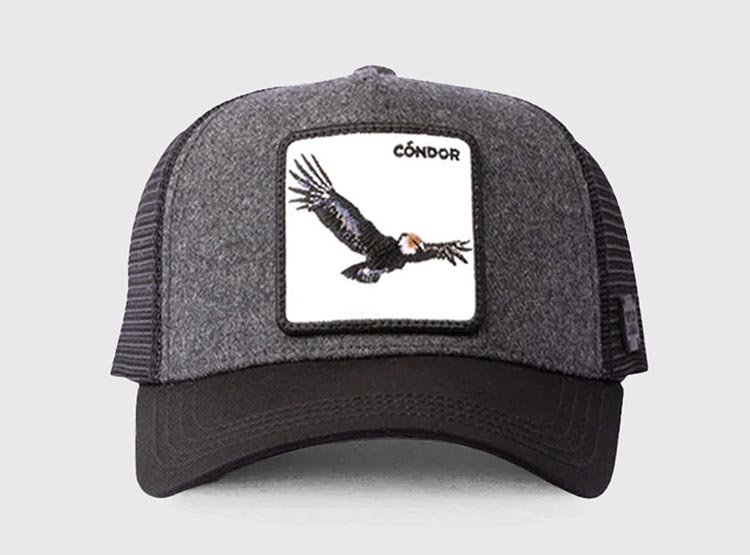 JOCKEY CONDOR WOOL NEGRO - 1