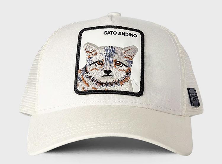 JOCKEY GATO ANDINO LINO BLANCO