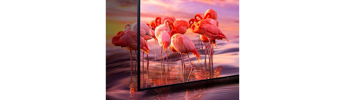 QLED SAMSUNG Q65Q60RAG UHD SMART
