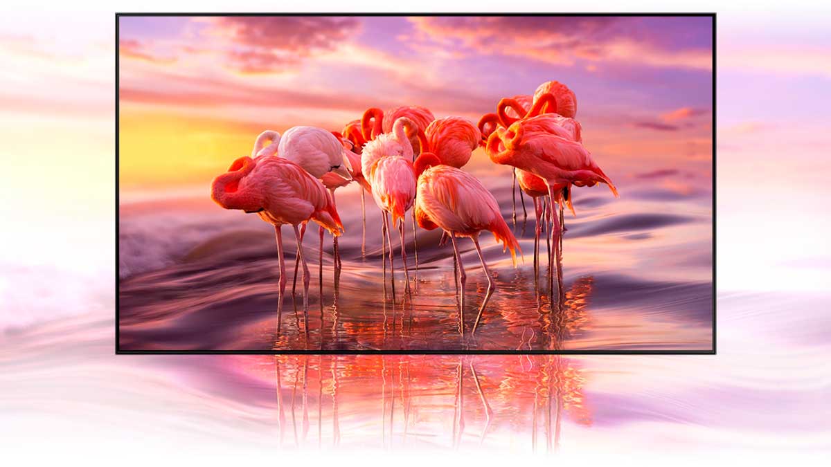 QLED SAMSUNG QN55Q60 UHD SMART