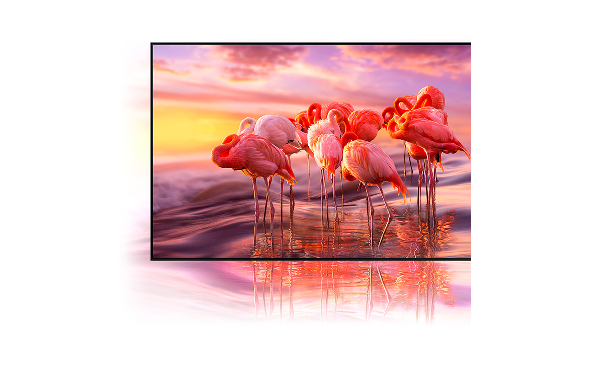 Neo QLED Samsung 50 QN90A