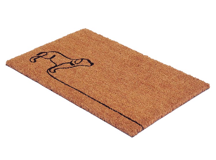 LIMPIAPIÉS IDETEX COCO PAS 40X60 - 4