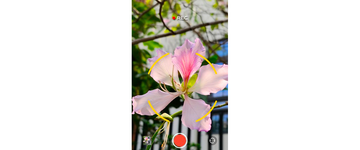 SMARTPHONE VIVO