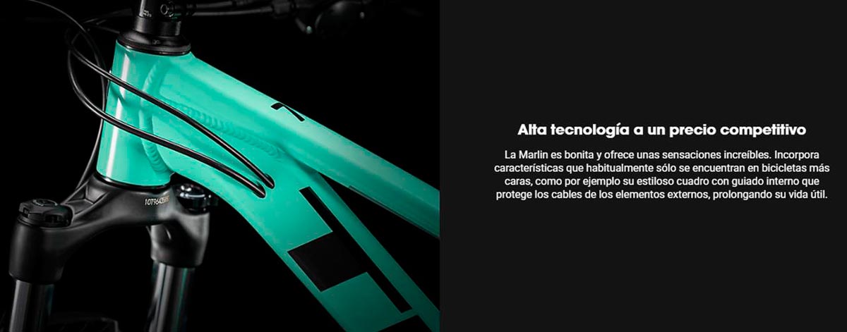 MARLIN 5 29 VERDE OSCURO M