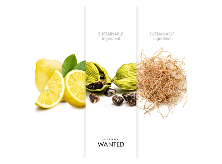 PERFUME AZZARO WANTED HOMBRE EDT 100 ML - 5
