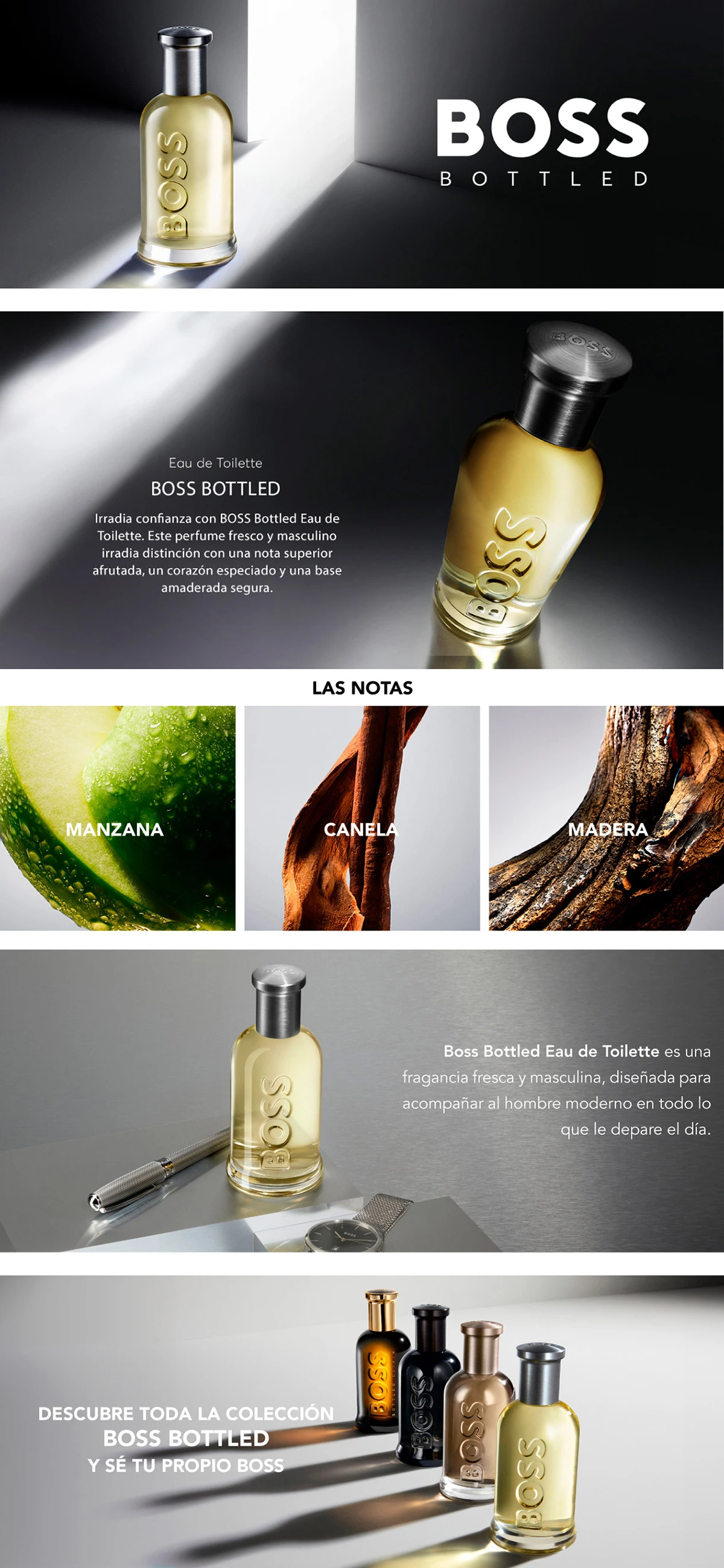 PERFUME HUGO BOSS BOSS BOTTLED 50 ML