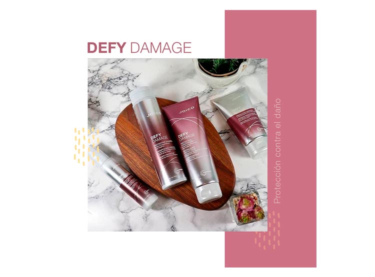 SHAMPOO PROTECTOR DEFY DAMAGE JOICO 300 ML - 2