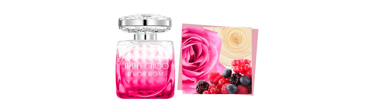 JIMMY CHOO BLOSSOM EDP 100 ML EDL