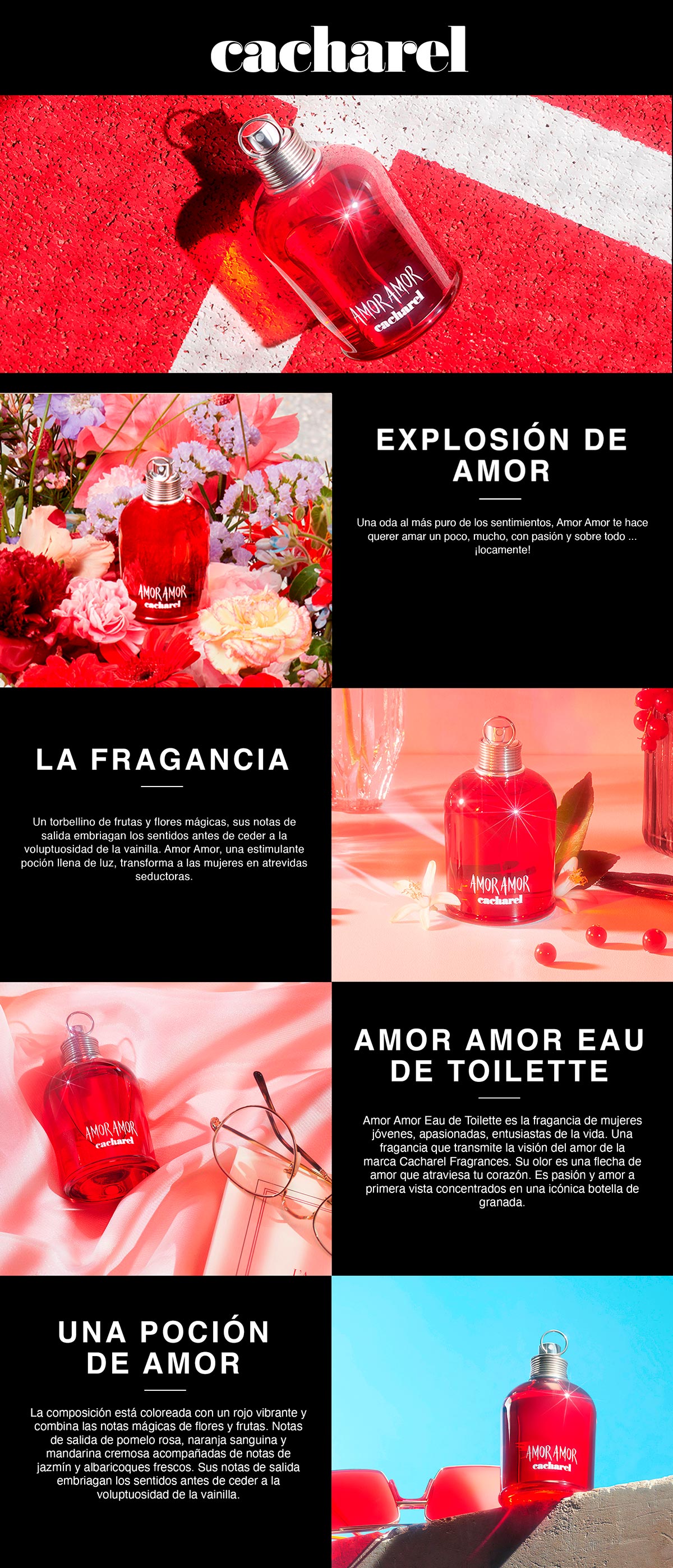 AMOR AMOR 100ML ED LIMITADA