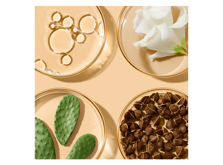 CONTORNO DE OJOS ESTÉE LAUDER ANTIEDAD NUEVO REVITALIZING SUPREME+ 15 ML - 2