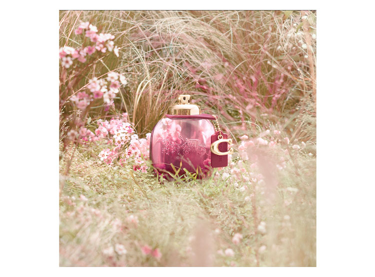 PERFUME COACH WILD ROSE MUJER EDP 30 ML - 7