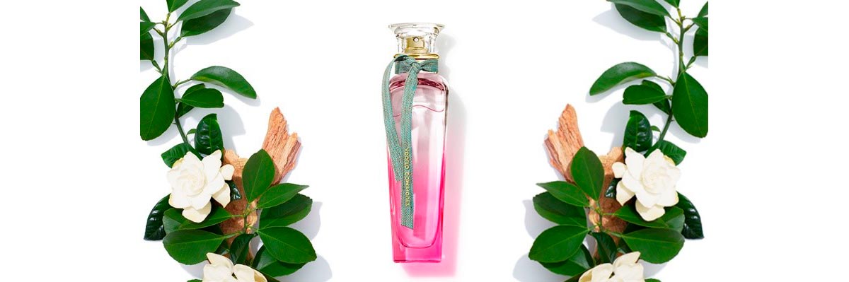 PERFUME ADOLFO DOMINGUEZ AGUA FRESCA GARDENIA EDT 120 ML