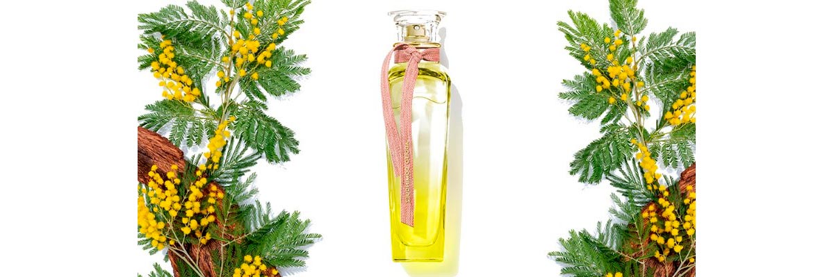 PERFUME ADOLFO DOMINGUEZ AGUA FRESCA MIMOSA EDT 120 ML