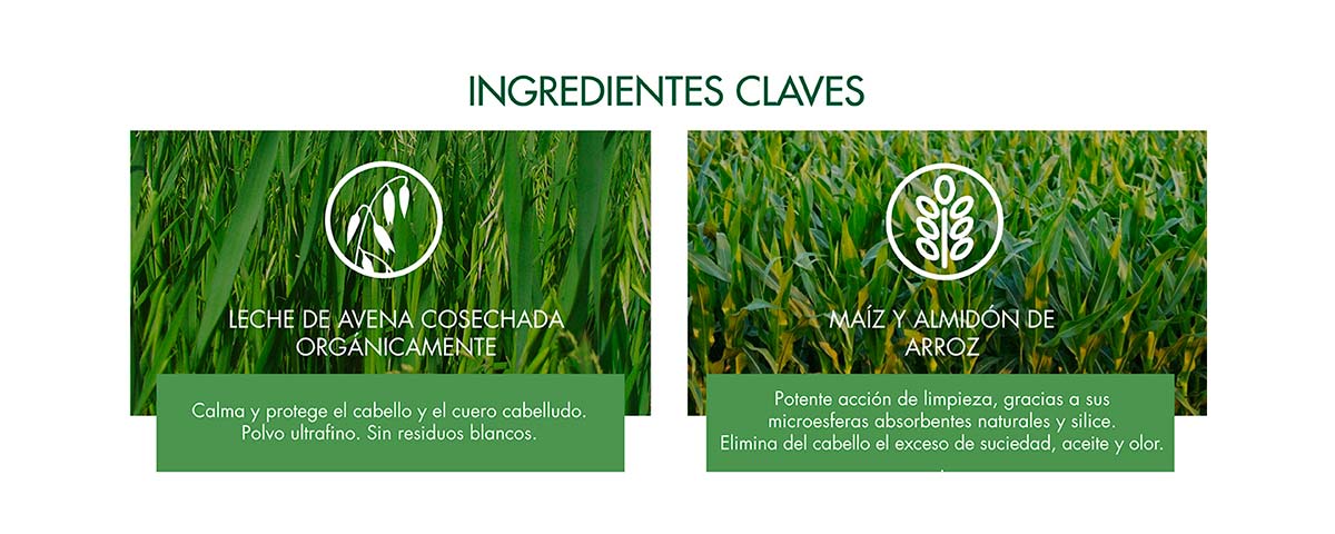SHAMPOO SECO EXTRASUAVE A LA LECHE DE AVENA 150ML