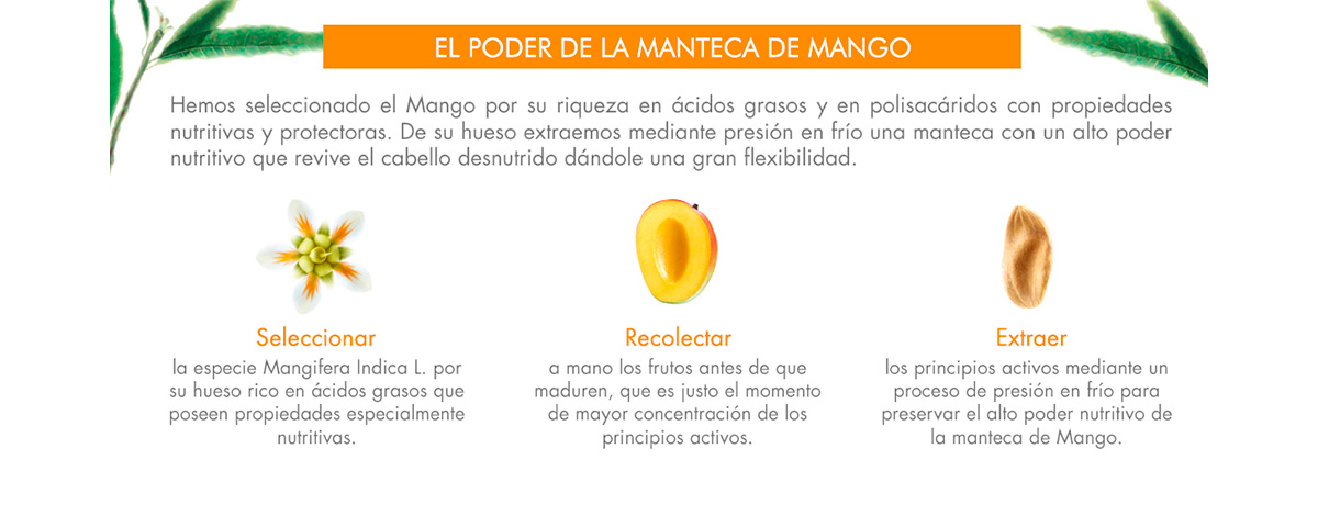 MASCARILLA REPARADORA A LA MANTECA DE MANGO 150ML