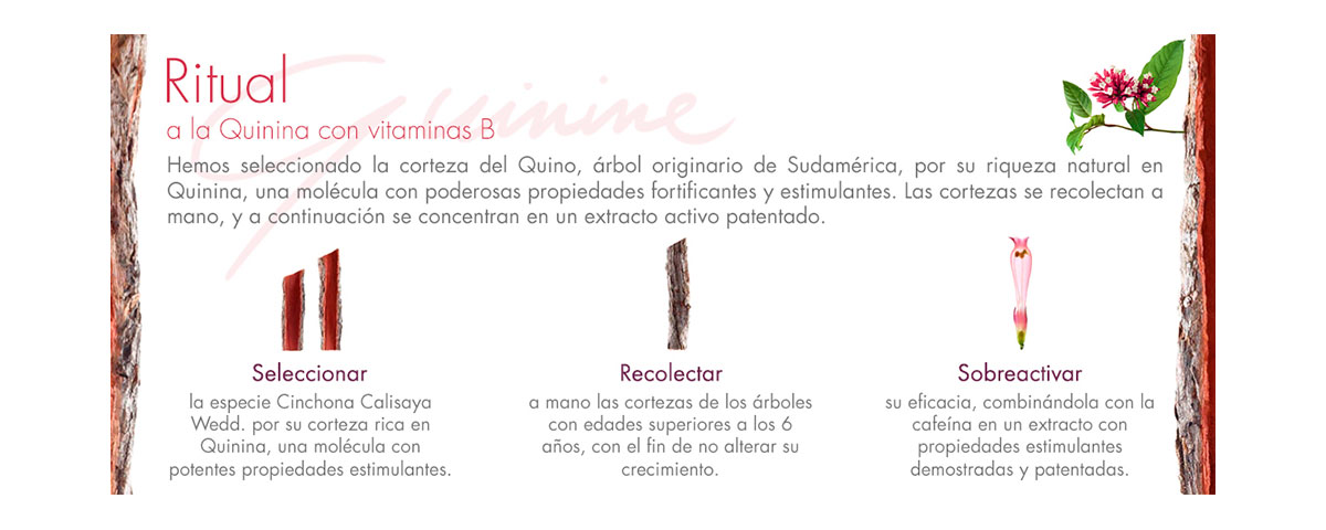SHAMPOO FORTIFICANTE A LA QUININA CON VITAMINAS B 400ML