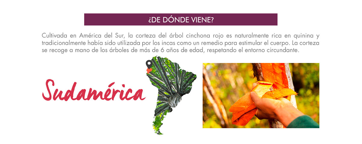 SHAMPOO FORTIFICANTE A LA QUININA CON VITAMINAS B 400ML