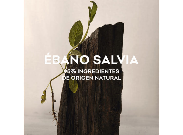 Men's Perfume Adolfo Dominguez Ébano Salvia EDP 120 ml main image 1