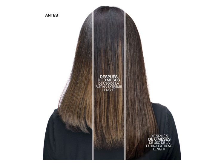 SET REDKEN FORTALECEDOR DE LARGOS CABELLO QUEBRADIZO EXTREME LENGTH SHAMPOO 300 ML + ACONDICIONADOR 300 ML - 4