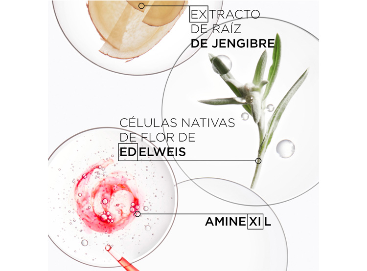 SÉRUM ANTICAÍDA CABELLO FRÁGIL KÉRASTASE ANTICHUTE FORTIFIANT GENESIS 90 ML - 4