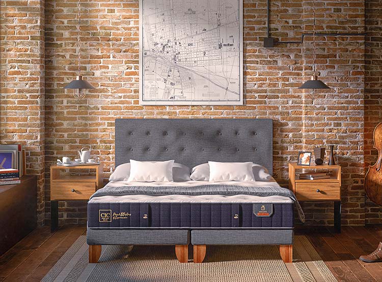 JUEGO DE DORMITORIO CIC CAMA EUROPEA PREMIUM BD 2 PLAZAS + SET MIRO - 9