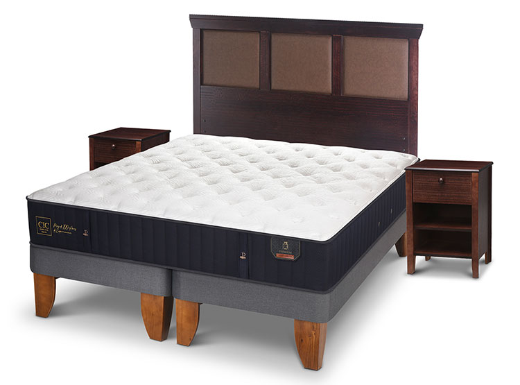 JUEGO DE DORMITORIO CIC CAMA EUROPEA PREMIUM BD 2 PLAZAS + SET NEW TORINO CHOCOLATE - 2