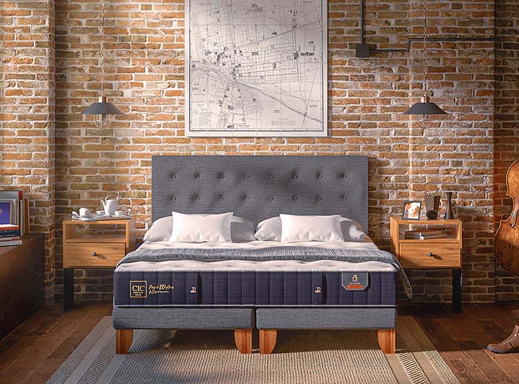 JUEGO DE DORMITORIO CIC CAMA EUROPEA PREMIUM BD 2 PLAZAS + RESPALDO EUFRATES - 9