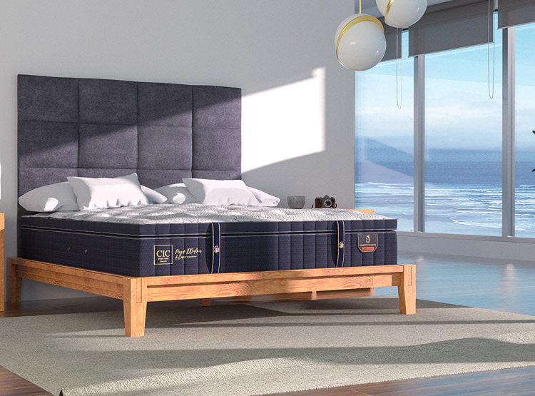 CAMA EUROPEA CIC GRAND PREMIUM BD 2 PL + SET ANTIQUE - 8