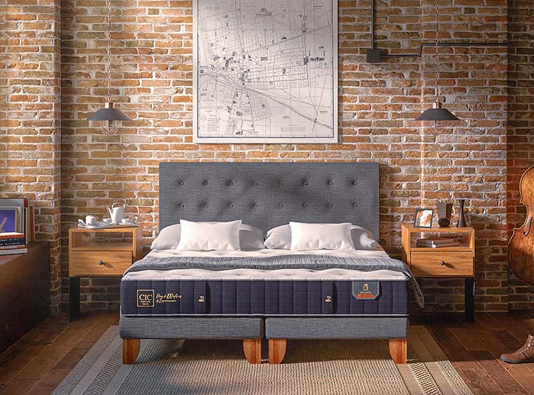 CAMA EUROPEA CIC PREMIUM BD 2 PLAZAS + SET TAMESIS - 9