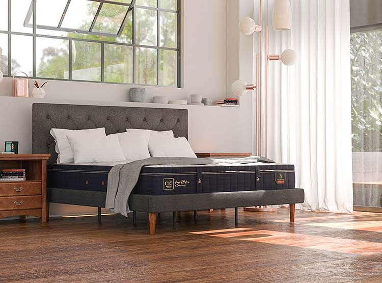 CAMA EUROPEA CIC SUPER PREMIUM KING + RESPALDO TAMESIS - 9