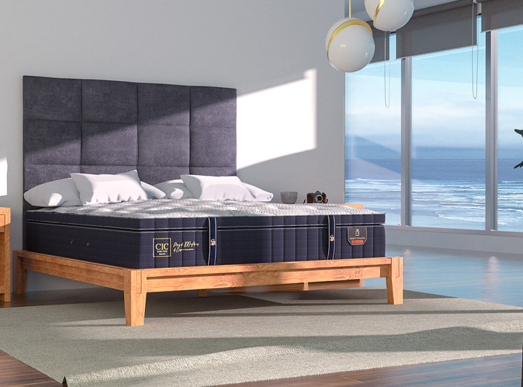CAMA EUROPEA CIC GRAND PREMIUM KING + RESPALDO TAMESIS - 8