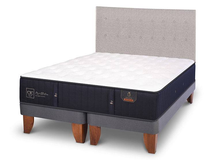 JUEGO DE DORMITORIO CIC CAMA EUROPEA PREMIUM KING + RESPALDO TIGRIS - 2